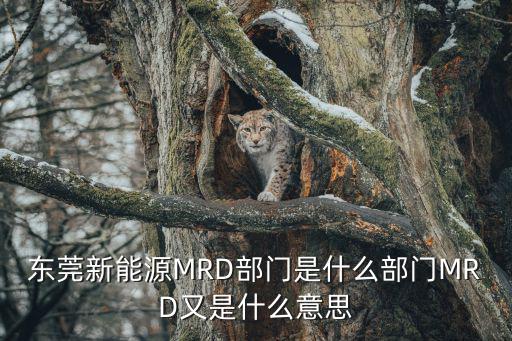 東莞新能源MRD部門是什么部門MRD又是什么意思