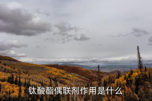 廣州鈦酸酯偶聯劑批發，鈦酸酯偶聯劑哪家做得最好我知道有杜邦肯里奇但肯里奇在中國找不到