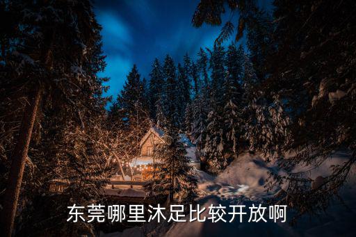 東莞哪里沐足比較開放啊