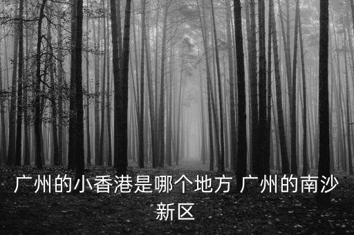 廣州的小香港是哪個(gè)地方 廣州的南沙新區(qū)