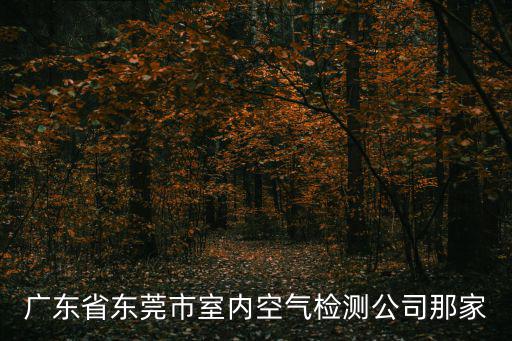 廣東省東莞市室內空氣檢測公司那家