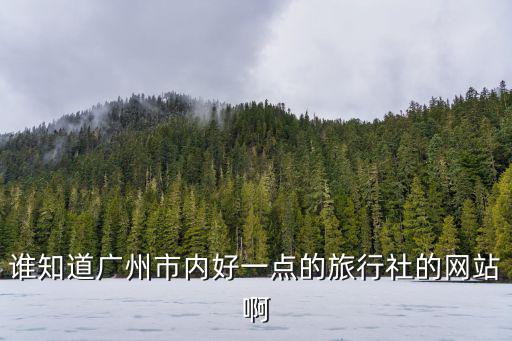 廣州旅游網站，誰知道廣州市內好一點的旅行社的網站啊