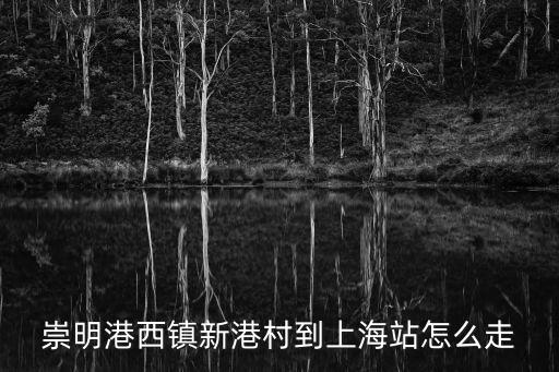 崇明港西鎮(zhèn)新港村到上海站怎么走
