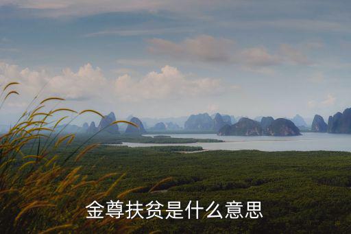 金尊扶貧是什么意思