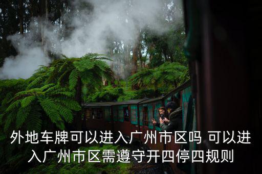 湖北牌進廣州，新能源雷丁電動車可不可以以湖北到廣州