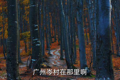 廣州岑村在那里啊
