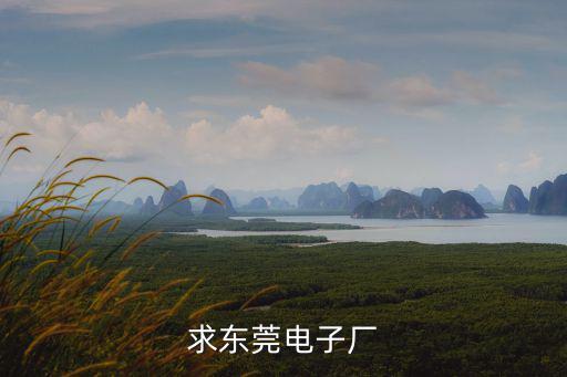 求東莞電子廠