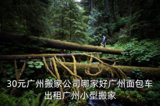 30元廣州搬家公司哪家好廣州面包車出租廣州小型搬家