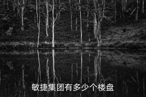 敏捷集團有多少個樓盤