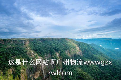 這是什么網站啊廣州物流wwwgzxrwlcom