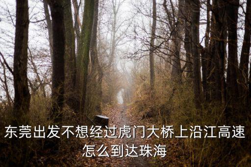 東莞出發(fā)不想經(jīng)過虎門大橋上沿江高速怎么到達(dá)珠海