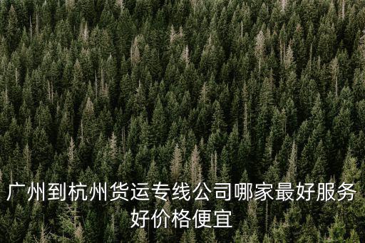 廣州至杭州物流公司，廣州到杭州貨運專線公司哪家最好服務好價格便宜