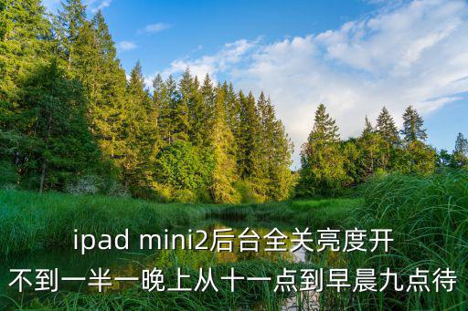 ipad mini2后臺全關亮度開不到一半一晚上從十一點到早晨九點待
