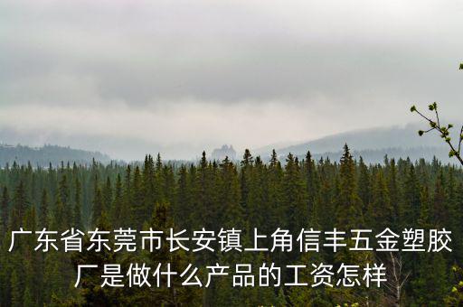 廣東省東莞市長安鎮上角信豐五金塑膠廠是做什么產品的工資怎樣