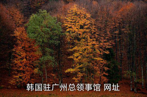 韓國駐廣州總領(lǐng)事館 網(wǎng)址