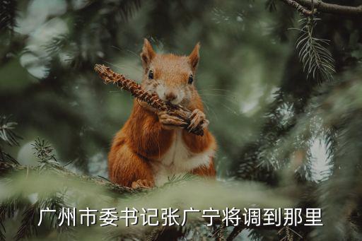 廣州市委書記張廣寧將調到那里
