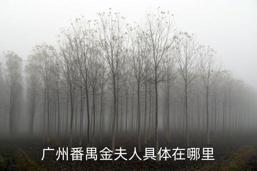 廣州金夫人，廣州金夫人服務怎么樣