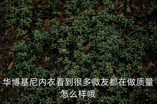 華博基尼內衣看到很多微友都在做質量怎么樣哦