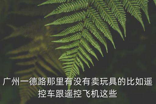 廣州一德路那里有沒有賣玩具的比如遙控車跟遙控飛機這些