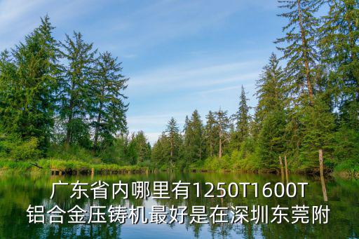 廣東省內(nèi)哪里有1250T1600T鋁合金壓鑄機(jī)最好是在深圳東莞附