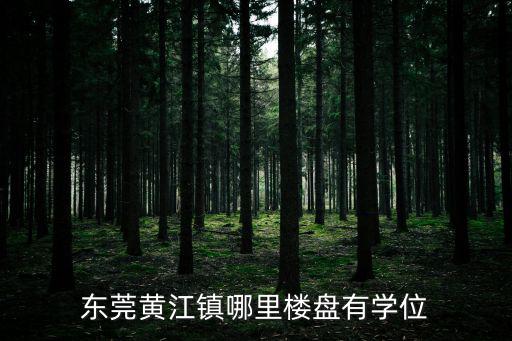 東莞黃江鎮(zhèn)哪里樓盤有學(xué)位