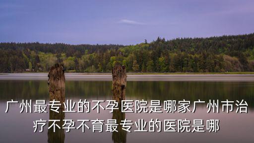 廣州不孕不育醫(yī)院，廣州最專業(yè)的不孕醫(yī)院是哪家廣州市治療不孕不育最專業(yè)的醫(yī)院是哪