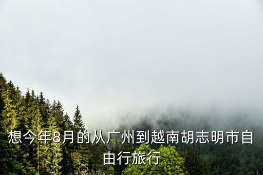 想今年8月的從廣州到越南胡志明市自由行旅行