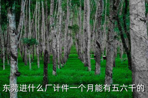 東莞進什么廠計件一個月能有五六千的