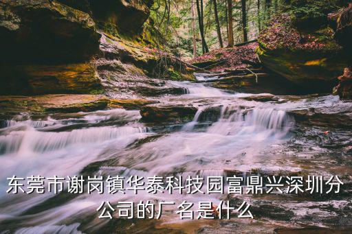 東莞市謝崗鎮華泰科技園富鼎興深圳分公司的廠名是什么