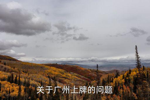 關于廣州上牌的問題
