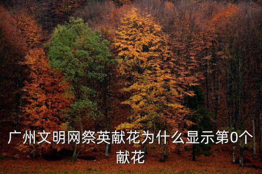 廣州文明網祭英獻花為什么顯示第0個獻花