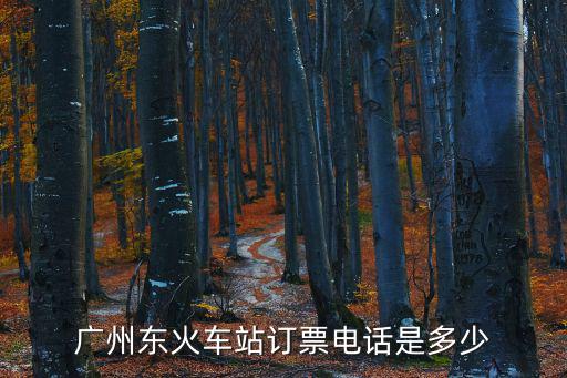 廣州東火車站訂票電話是多少