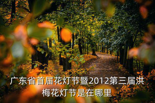 廣東省首屆花燈節(jié)暨2012第三屆洪梅花燈節(jié)是在哪里