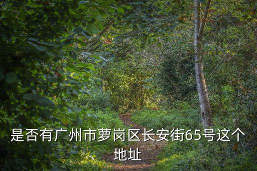 是否有廣州市蘿崗區長安街65號這個地址