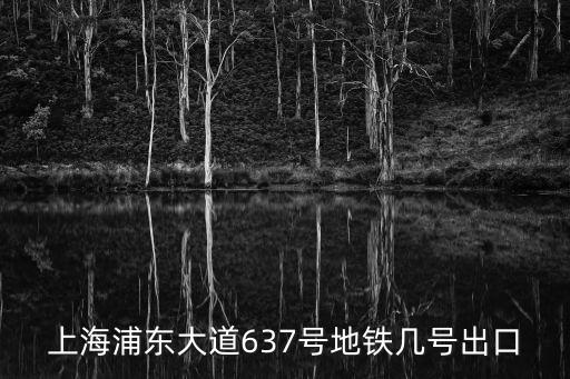 上海浦東大道637號地鐵幾號出口