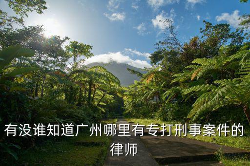 有沒誰知道廣州哪里有專打刑事案件的律師
