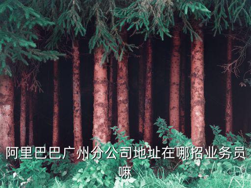 阿里巴巴廣州分公司地址在哪招業(yè)務(wù)員嘛