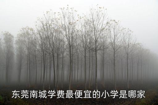 東莞道窖南城小學，東莞南城汽車路奧博科技園后面是什么小學