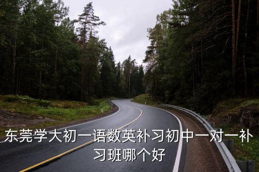 東莞學(xué)大初一語數(shù)英補習(xí)初中一對一補習(xí)班哪個好