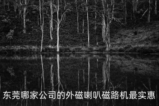 東莞哪家公司的外磁喇叭磁路機(jī)最實(shí)惠