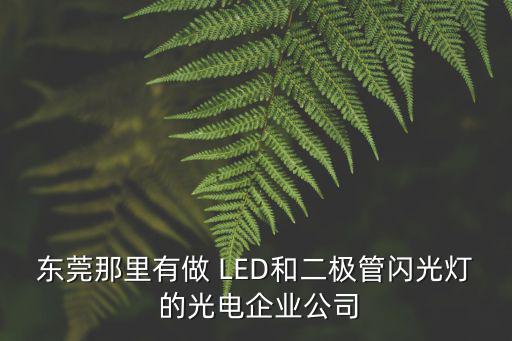東莞那里有做 LED和二極管閃光燈 的光電企業公司