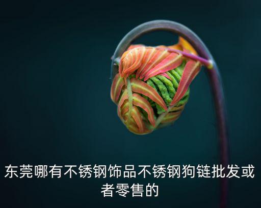 東莞哪有不銹鋼飾品不銹鋼狗鏈批發或者零售的