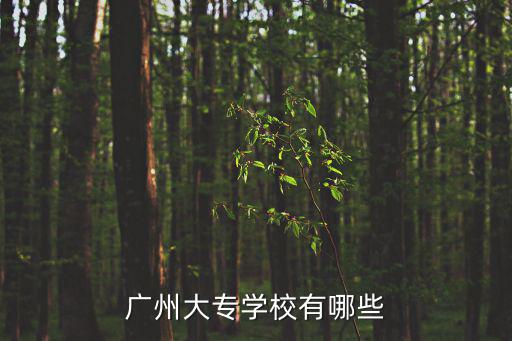 廣州的?？茖W(xué)校，廣州大專學(xué)校有哪些