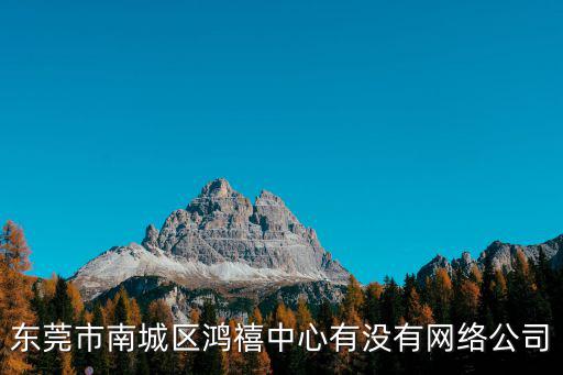 東莞市南城區鴻禧中心有沒有網絡公司