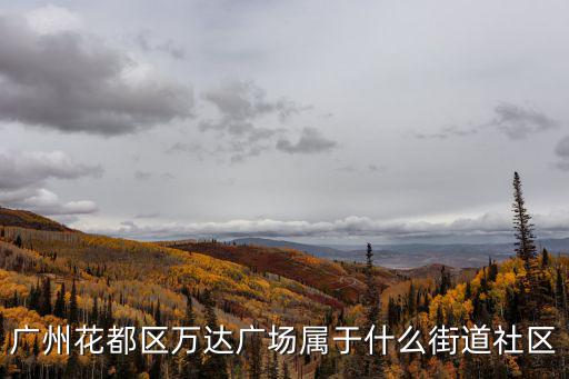 廣州花都區(qū)萬達(dá)廣場屬于什么街道社區(qū)