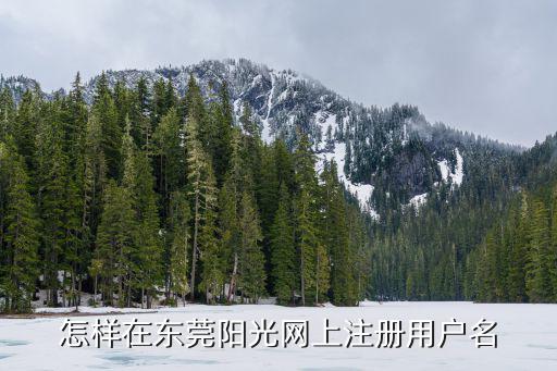 東莞市陽光網，東莞陽光網的地址是什么