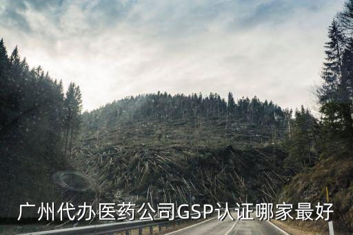 廣州代辦醫藥公司GSP認證哪家最好