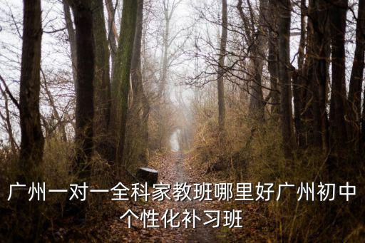 廣州一對一家教，廣州一對一家教有哪些機構廣州最有名氣的1對1家教輔導中心