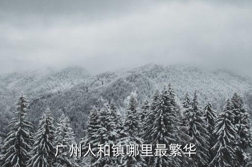 廣州人和鎮(zhèn)哪里最繁華