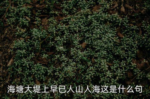 海塘大堤上早已人山人海這是什么句